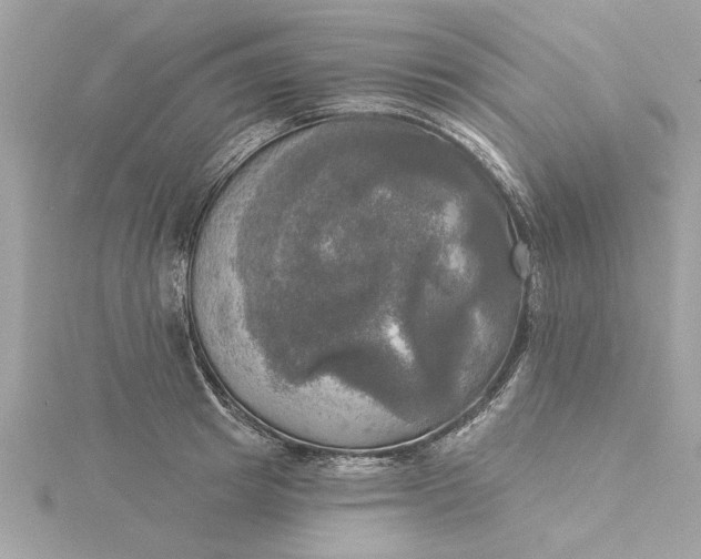 X0000116030849200912041933