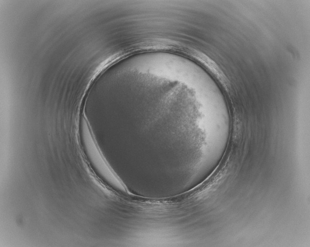 X0000116030850200912041933