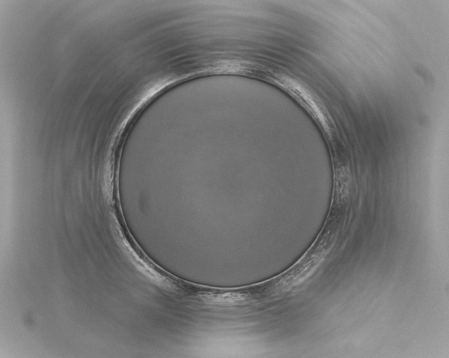 X0000116030851200912041933