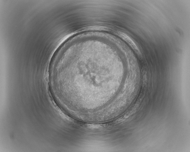 X0000116030852200912041933