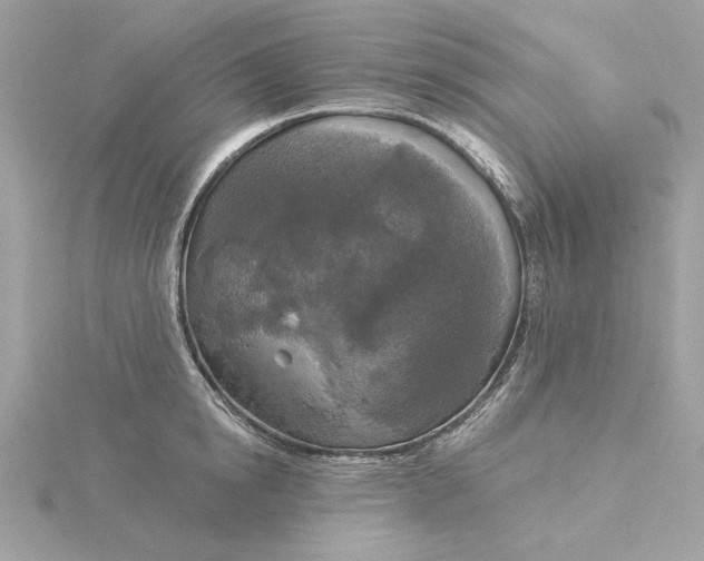 X0000116030854200912041933