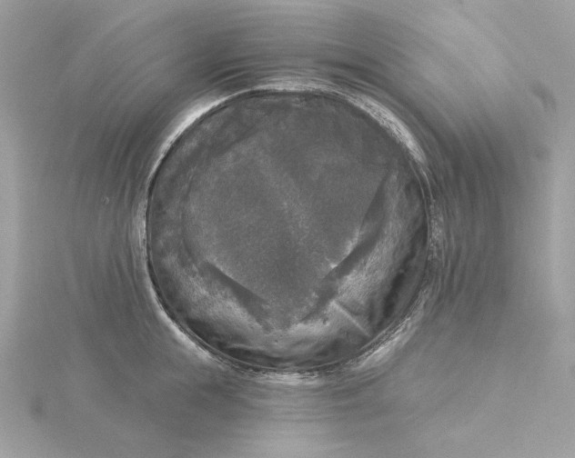 X0000116030855200912041933