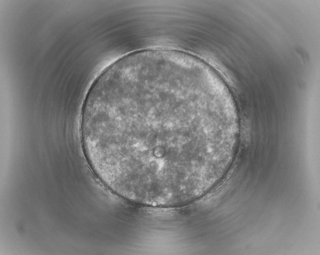 X0000116030856200912041933