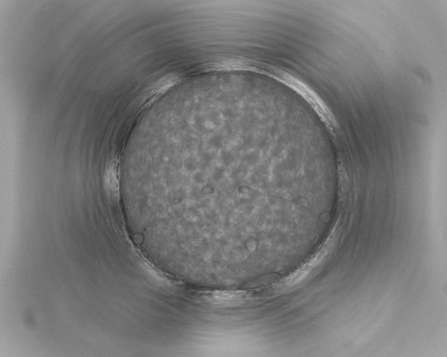 X0000116030857200912041933