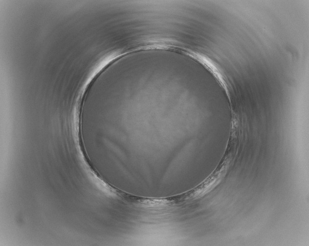 X0000116030859200912041933