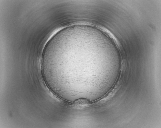 X0000116030860200912041933