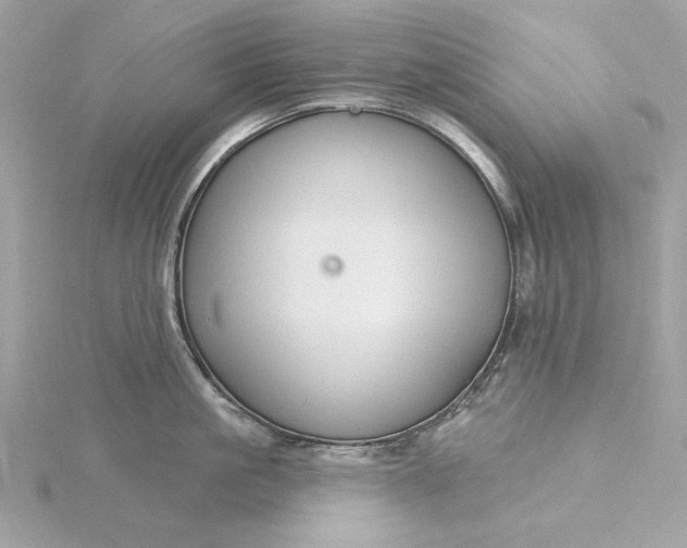 X0000116030861200912041933