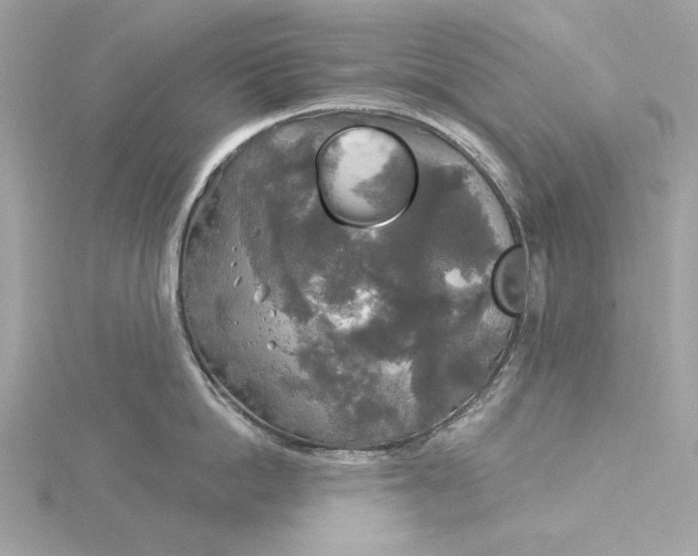 X0000116030862200912041933