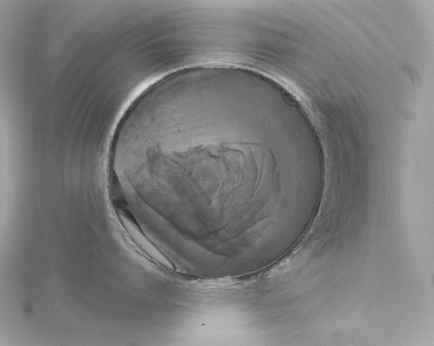 X0000116030864200912041933