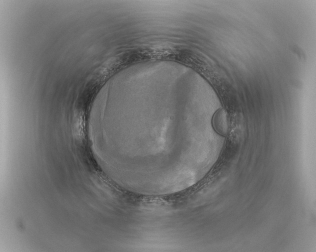 X0000116030866200912041932