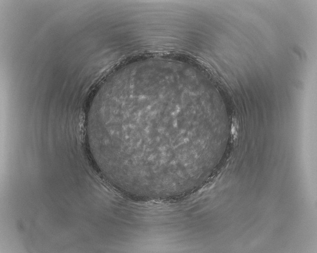 X0000116030867200912041932