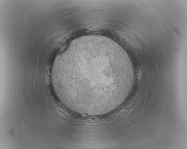 X0000116030868200912041932