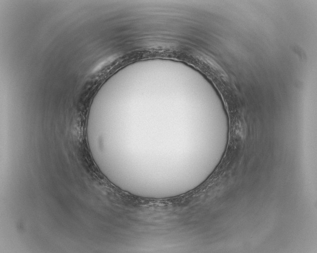 X0000116030869200912041932