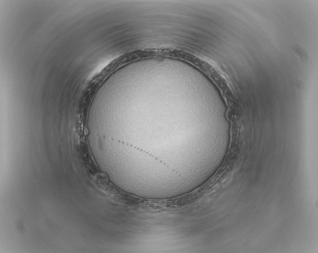 X0000116030871200912041932