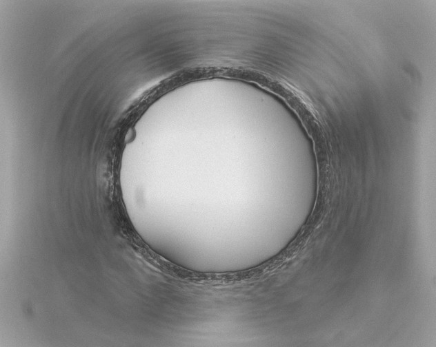 X0000116030872200912041932