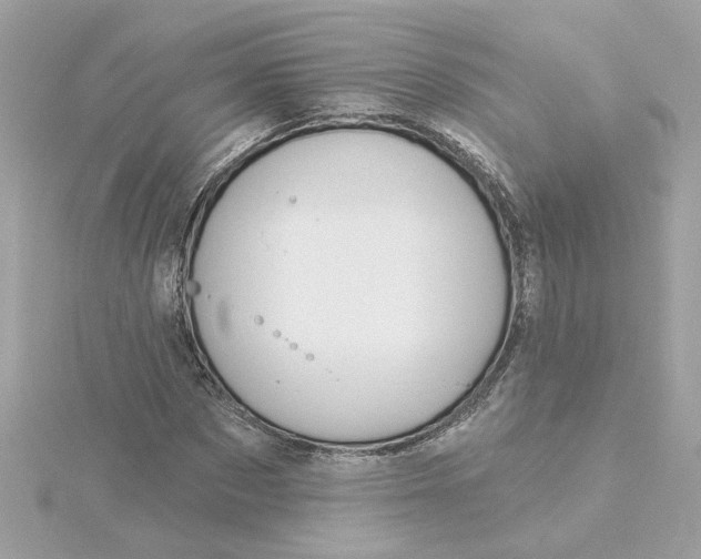 X0000116030873200912041932