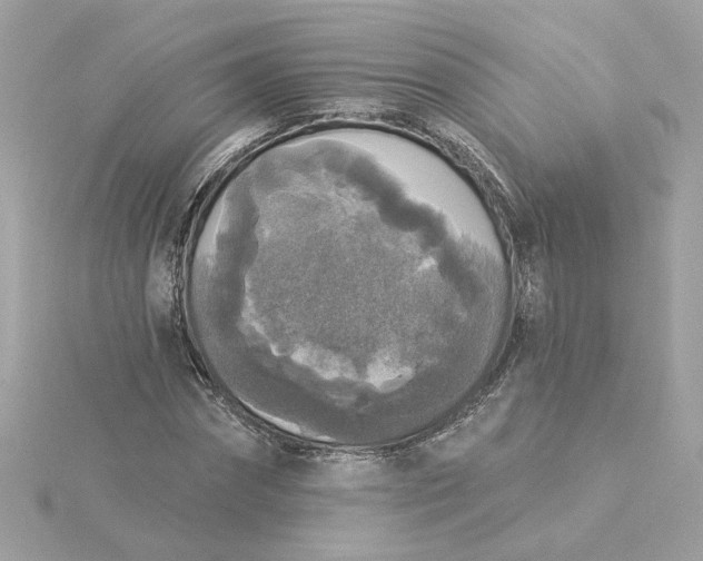 X0000116030874200912041932