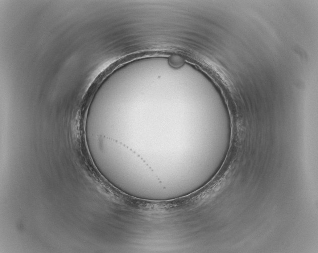 X0000116030875200912041932