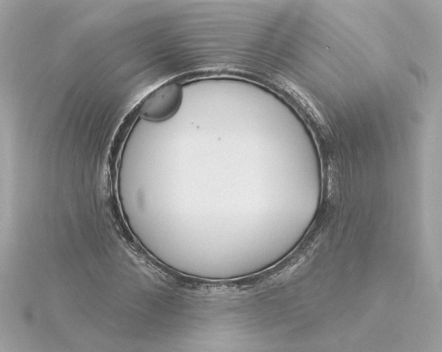 X0000116030876200912041932