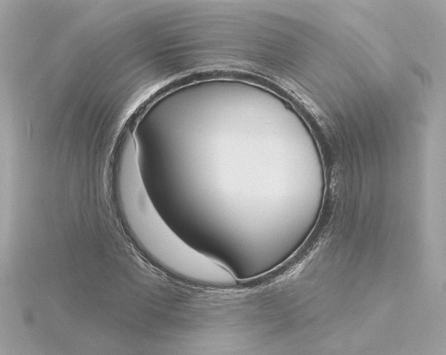 X0000116030877200912041932