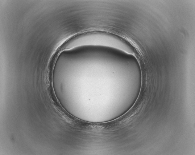 X0000116030878200912041932