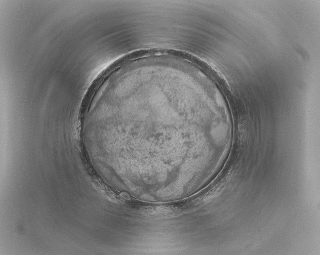 X0000116030879200912041932