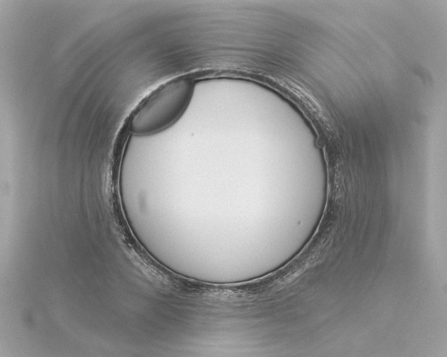 X0000116030880200912041932