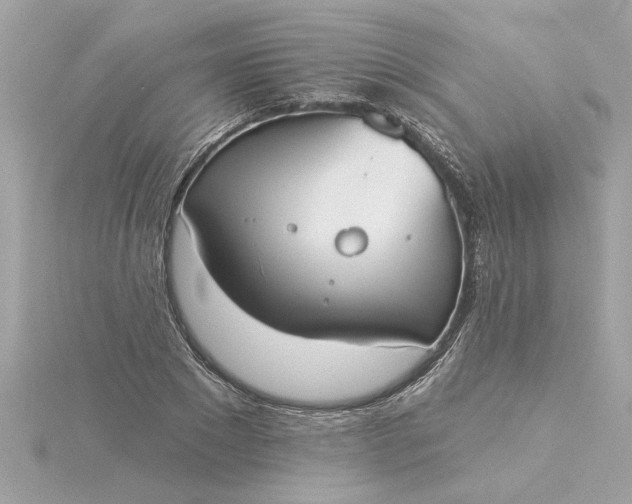 X0000116030881200912041932