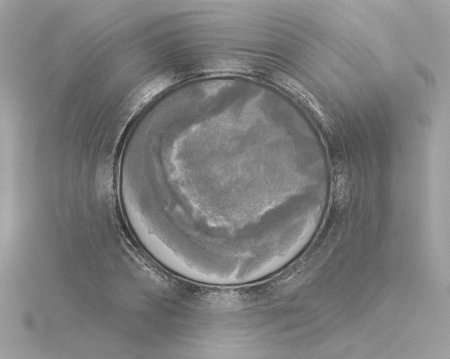 X0000116030882200912041932