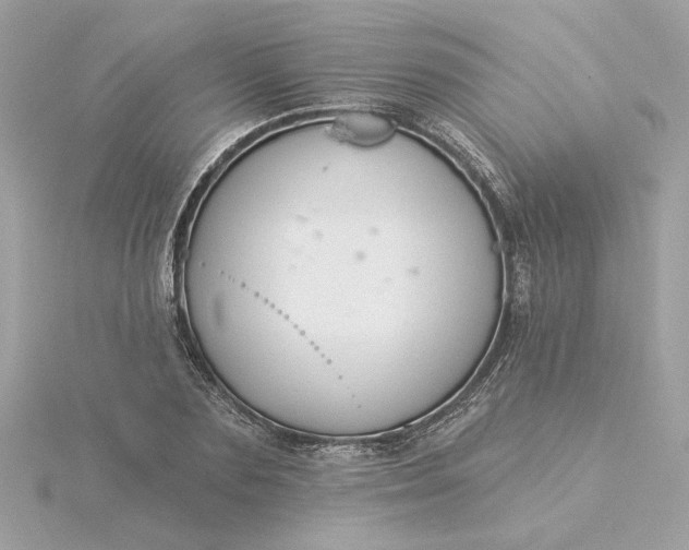 X0000116030883200912041932