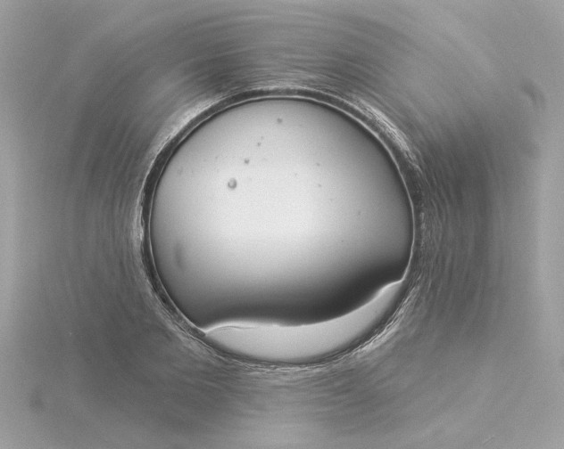 X0000116030885200912041932