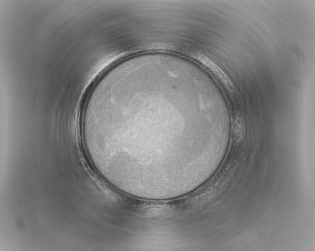 X0000116030886200912041932