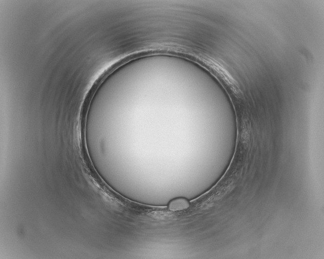 X0000116030888200912041932