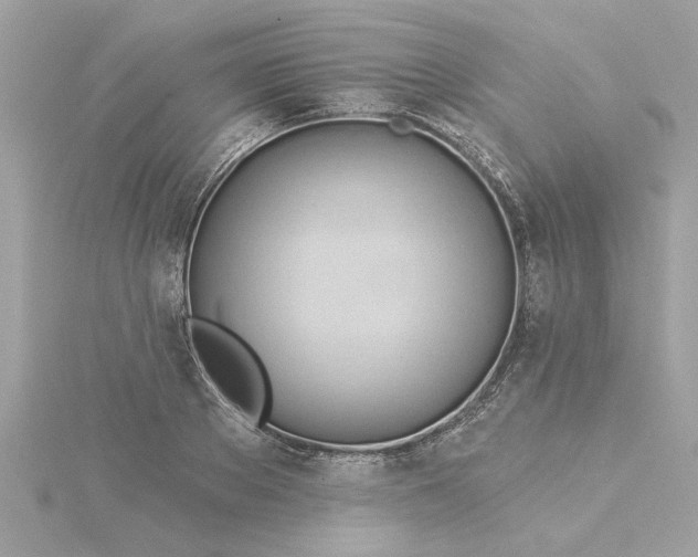 X0000116030889200912041932