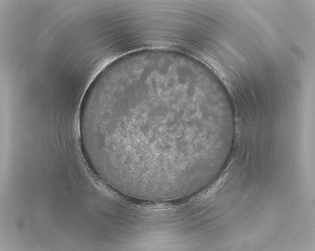 X0000116030891200912041932