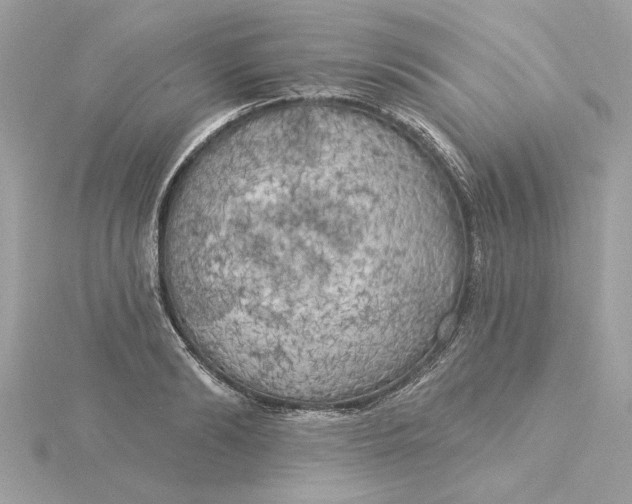 X0000116030894200912041932