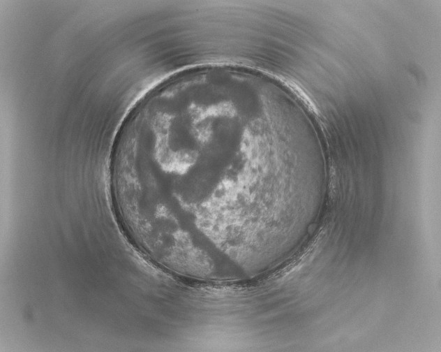 X0000116030895200912041932