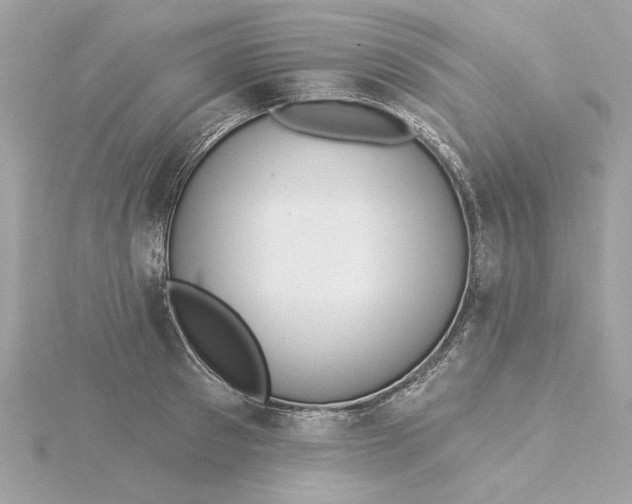 X0000116030897200912041932