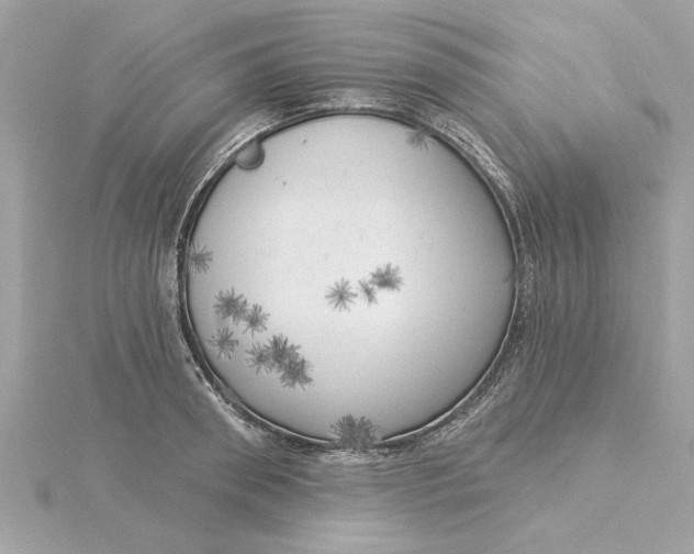 X0000116030898200912041932