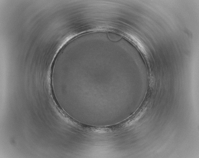 X0000116030899200912041932