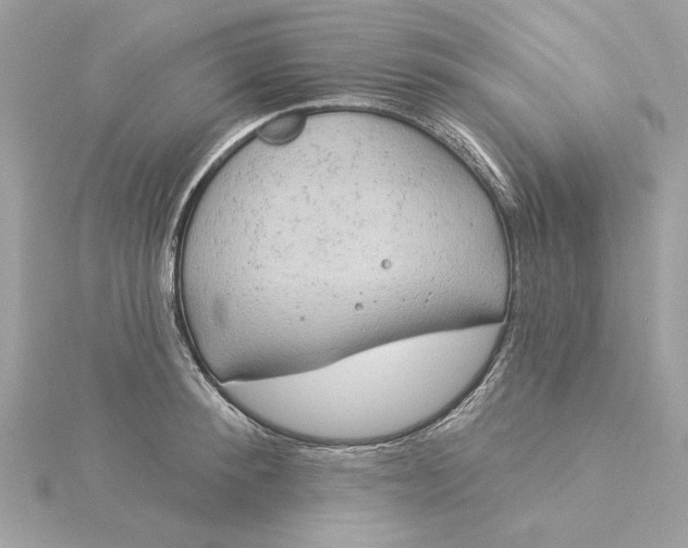 X0000116030900200912041932