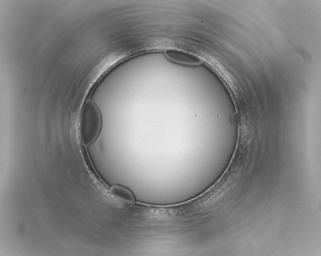 X0000116030901200912041932