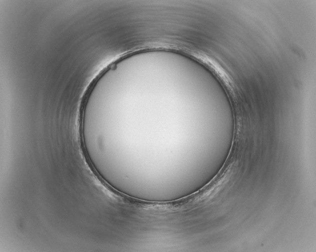 X0000116030902200912041932