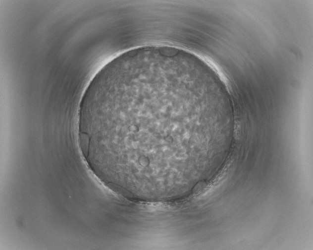 X0000116030903200912041932