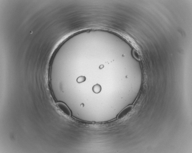 X0000116030904200912041932