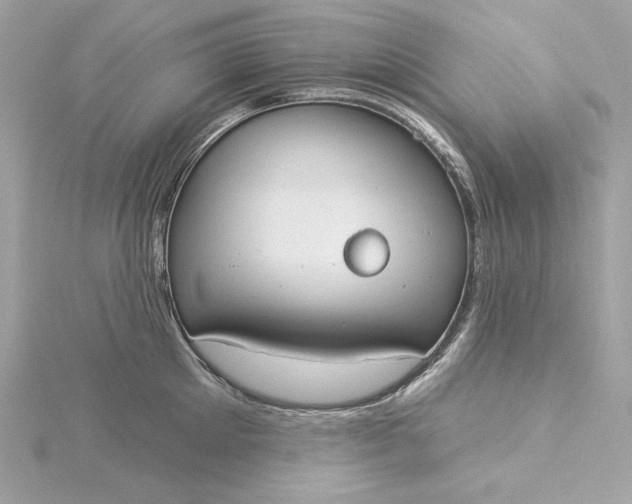 X0000116030905200912041932