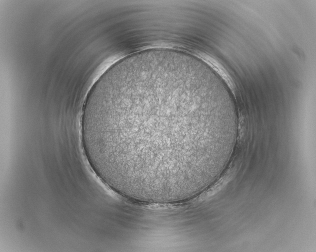 X0000116030906200912041932