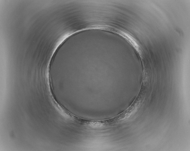 X0000116030907200912041932