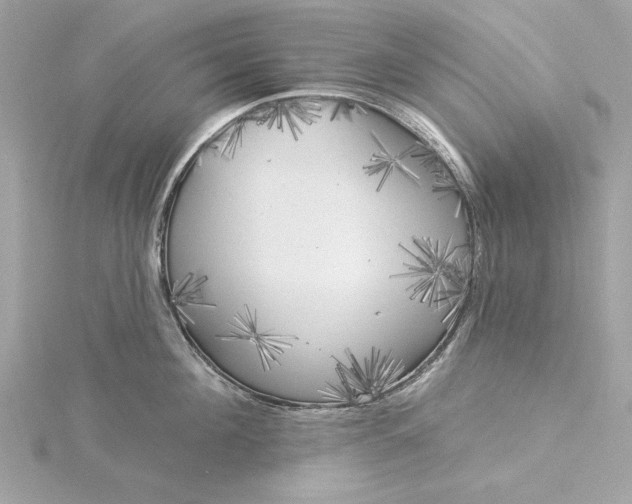 X0000116030908200912041932