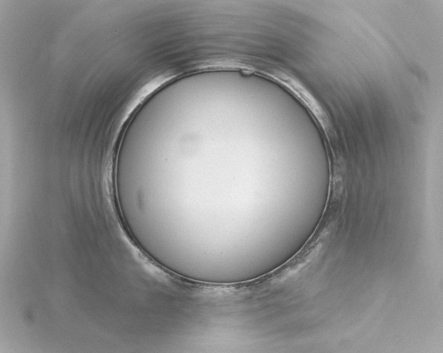 X0000116030909200912041932